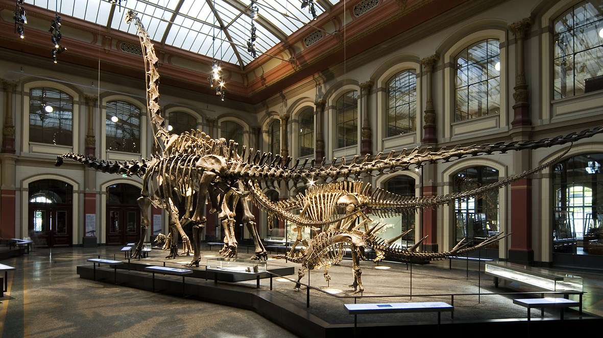 Museum of Natural History