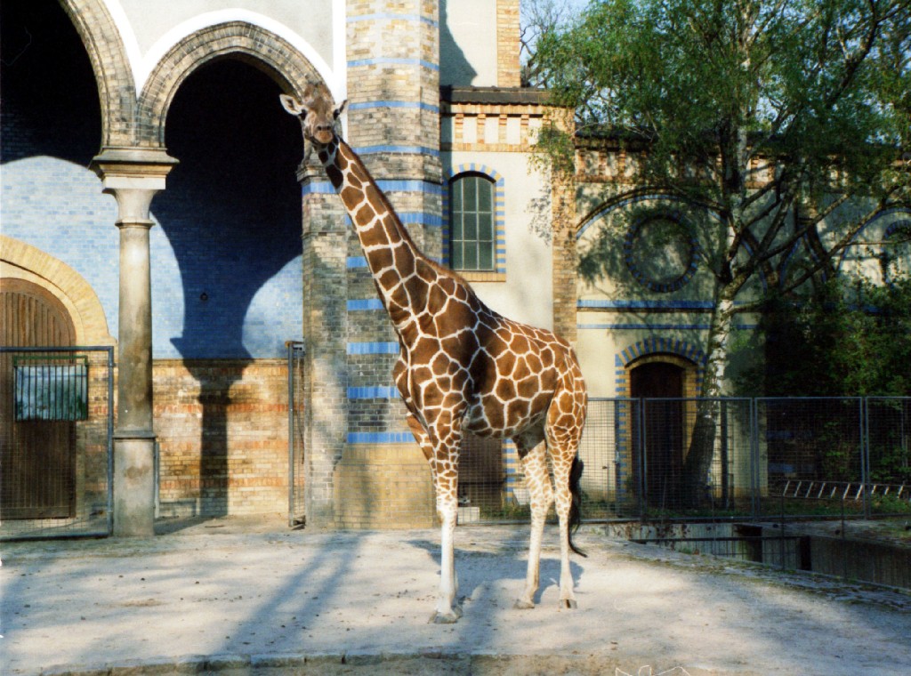 Berlin Zoo