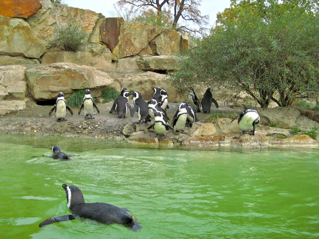 Berlin Zoo