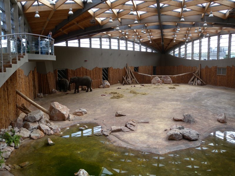 New Zoo