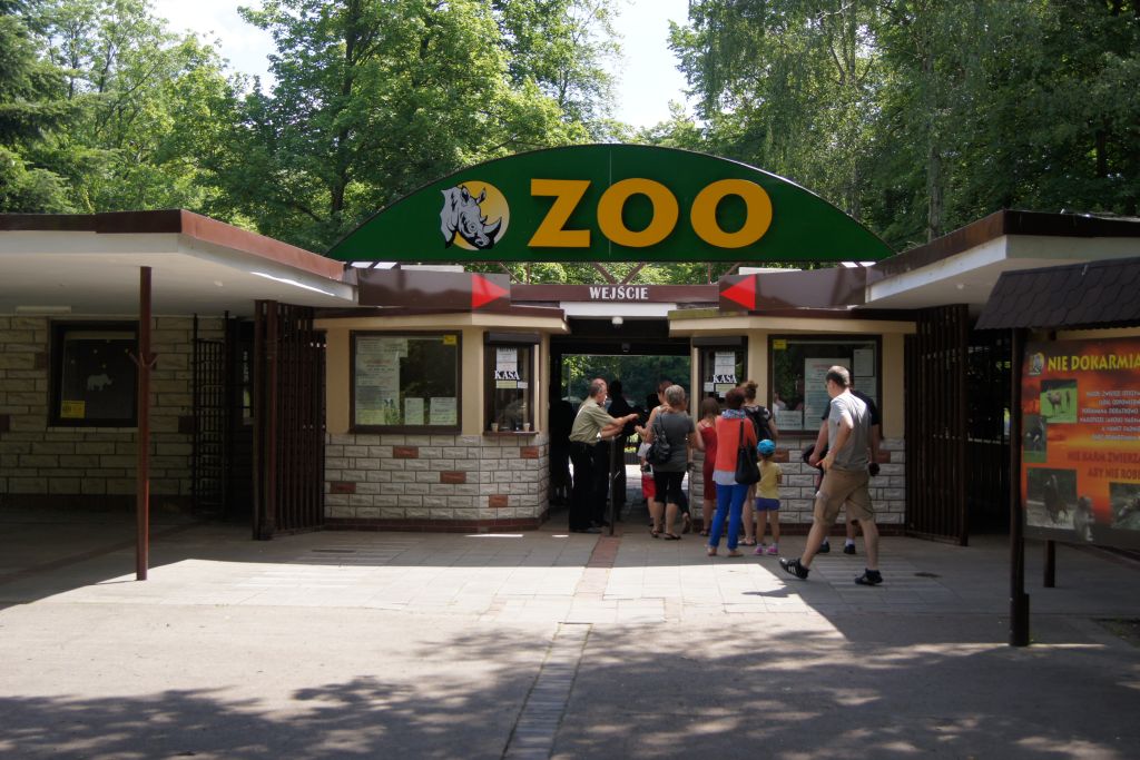 New Zoo